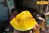 লাল নয়, বাজার ছেয়েছে হলুদ রঙের তরমুজে! পূর্ব বর্ধমানে বিক্রি হচ্ছে প্রচুর