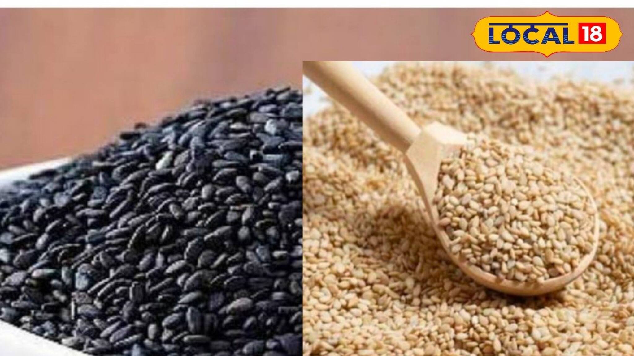 কালো না সাদা তিলের তেল শরীরের জন্য ভাল? বেশি তেল কোন তিল থেকে পাওয়া যায়? জানুন