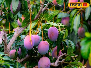 সংগৃহীত