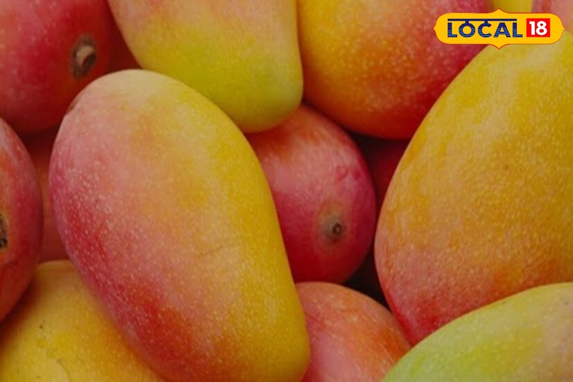 চিকিৎসক অনুপম ভট্টাচার্য জানান, ফাইবারের পরিমাণ বেশি থাকায় আম কোষ্ঠকাঠিন্য রোধে দারুণ কার্যকর। 