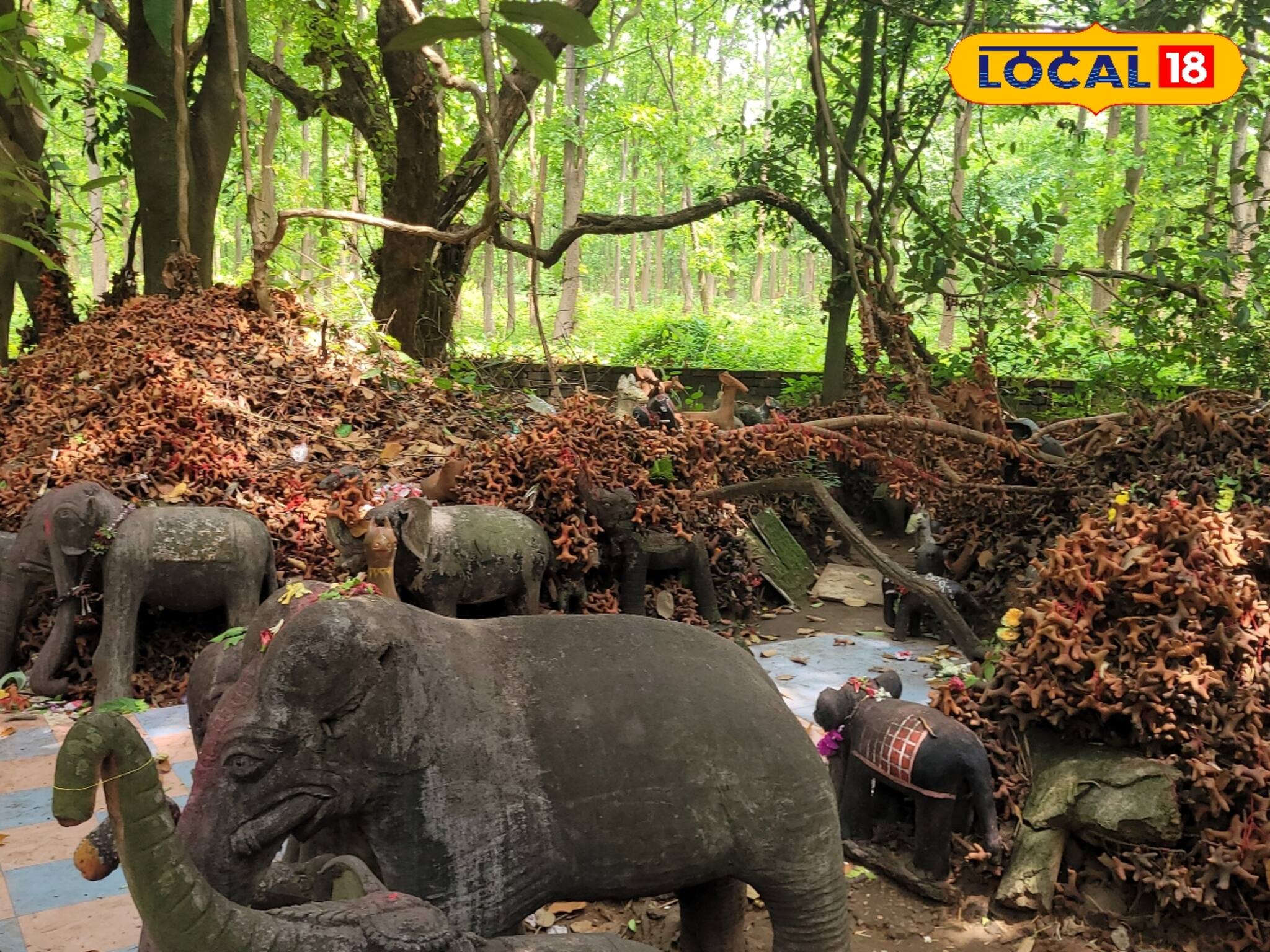 Jhargram News: জঙ্গলমহলের জাগ্রত লৌকিক দেবতার পুজো অর্চনা ঘিরে বহু ভক্ত সমাগম