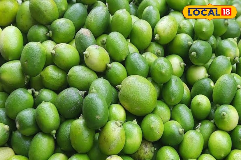 প্রসঙ্গত, সামান্য উষ্ণ গরম জলে লেবু মিশিয়ে খেলে শরীরের অবাঞ্ছিত ফ্যাট গলে। মেদ কমানোর পাশাপাশি ওজন কমাতে সহায়তা করে।