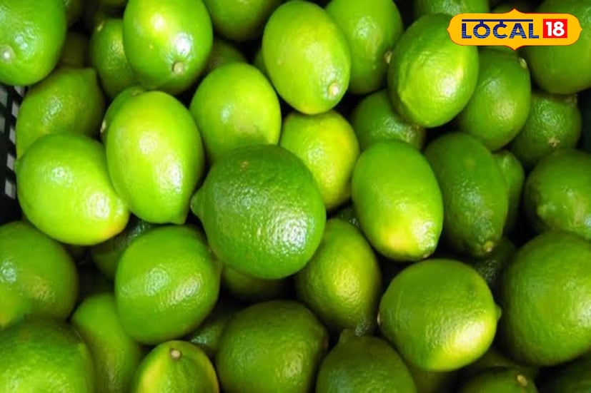 গ্রাম বাংলার প্রচলিত ফল লেবু। সামান্য টাকায় বাজারে কিনতে পাওয়া যায় এই ফল। স্বাদে টক হলেও গুণে ভরপুর।