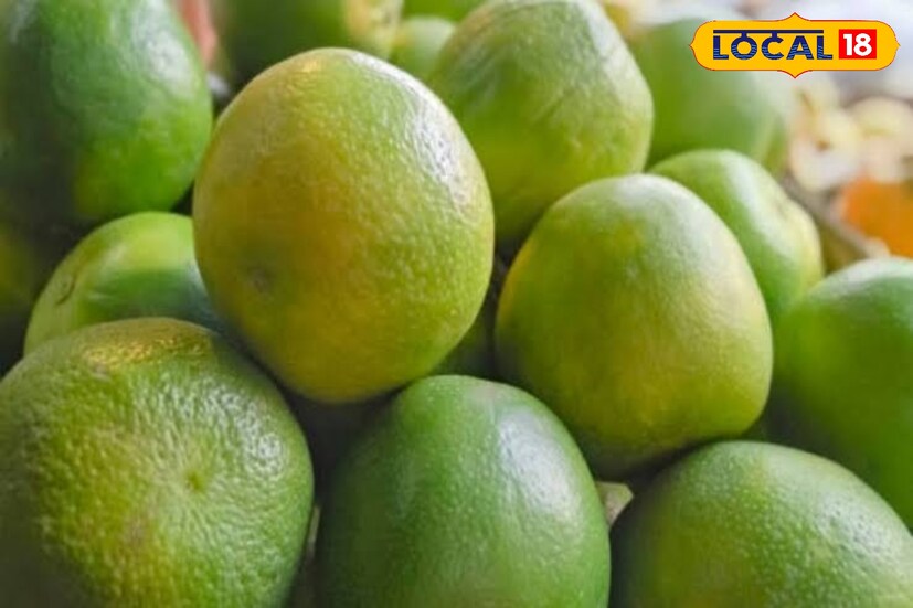 ত্বকের উজ্জ্বলতা হোক কিংবা হজম শক্তি বৃদ্ধি যে কোনও রোগের উপকারে লাগে সামান্য কটা টাকার এই লেবু।