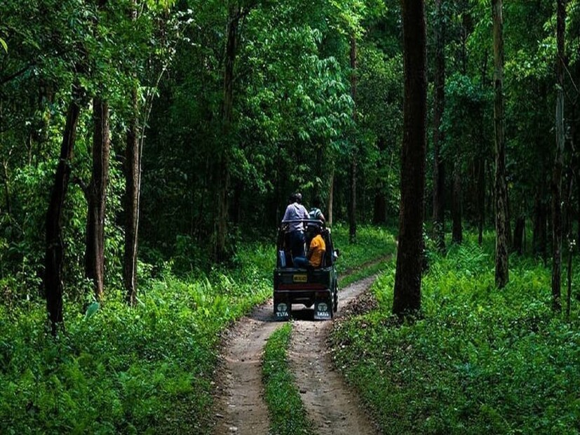 *ডুয়ার্স: ডুয়ার্সে রাত থেকে দফায় দফায় বজ্রবিদ্যুৎ সহকারে বৃষ্টি । গত ২৪ ঘণ্টায় সর্বোচ্চ তাপমাত্রা ছিল ২৯° সেলসিয়াস। সর্বনিম্ন তাপমাত্রা ২৪ ডিগ্রি সেলসিয়াস।