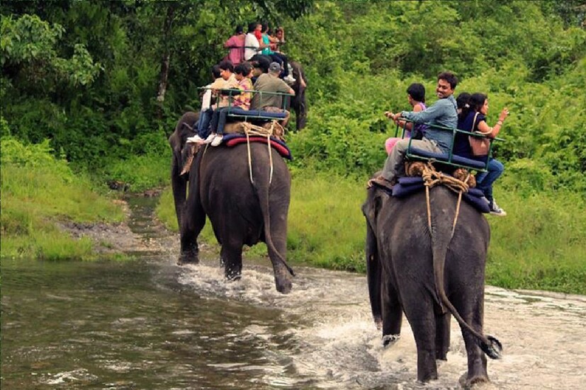 *জলপাইগুড়ির এই জায়গাটির নাম বোদাগঞ্জ। এই স্থান দর্শন করে আপনি আরও কিছু দূর গেলেই যাবেন শিকারপুরের দেবী চৌধুরানী মন্দিরে। ঘন জঙ্গলের মধ্যে থাকা এই মন্দিরেও জুড়ে রয়েছে নানা অজানা ইতিহাস। আর এই সবকিছুর অনুভূতি নেওয়া সম্ভব মাত্র ১০০ টাকায়৷ সংগৃহীত ছবি।