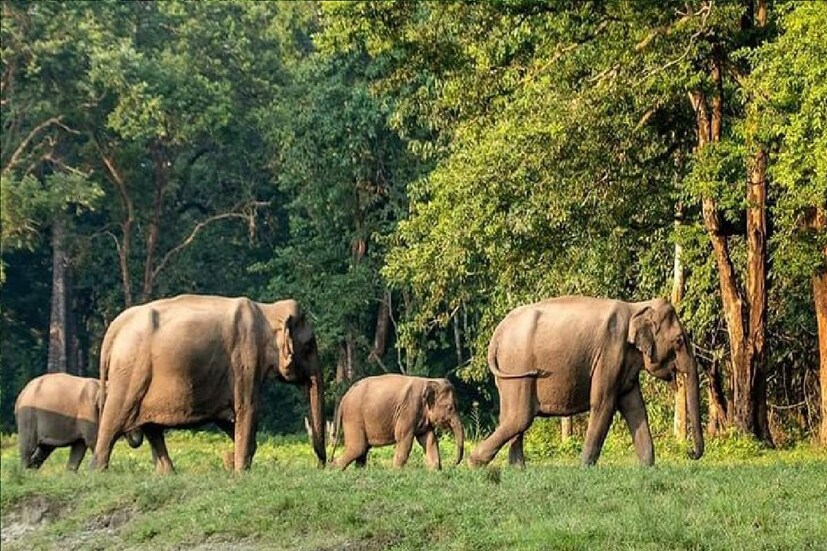 *আলিপুরদুয়ার: মেঘলা আকাশ আলিপুরদুয়ারের। ভারী বৃষ্টির সম্ভাবনা। রাতভর বৃষ্টিতে ভিজছে শহর। সর্বনিম্ন তাপমাত্রা ২৪ ডিগ্রি সেলসিয়াস। বৃষ্টিতে বিধ্বস্ত ভুটান সীমান্তের জয়গাঁ।