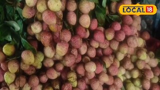 গরমে মাত্র ২ মাস পাওয়া যায় এই ফল; ওজন কমানো থেকে বিপি নিয়ন্ত্রণ সবেতেই কার্যকর গরমে মাত্র ২ মাস পাওয়া যায় এই ফল; ওজন কমানো থেকে বিপি নিয়ন্ত্রণ সবেতেই কার্যকর