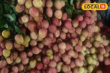 গরমে মাত্র ২ মাস পাওয়া যায় এই ফল; ওজন কমানো থেকে BP নিয়ন্ত্রণ সবেতেই কার্যকর