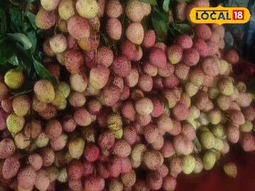 গরমে মাত্র ২ মাস পাওয়া যায় এই ফল; ওজন কমানো থেকে বিপি নিয়ন্ত্রণ সবেতেই কার্যকর