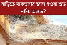 বাড়িতে মাকড়সার জাল হওয়া শুভ নাকি অশুভ? কী বলছে বাস্তুশাস্ত্র?