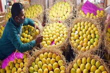 আমের নাম ফজলি-ল্যাংড়া-গোলাপখাস-হিমসাগর! ফলের রাজার এমন অদ্ভুত সব নাম কেন জানেন?