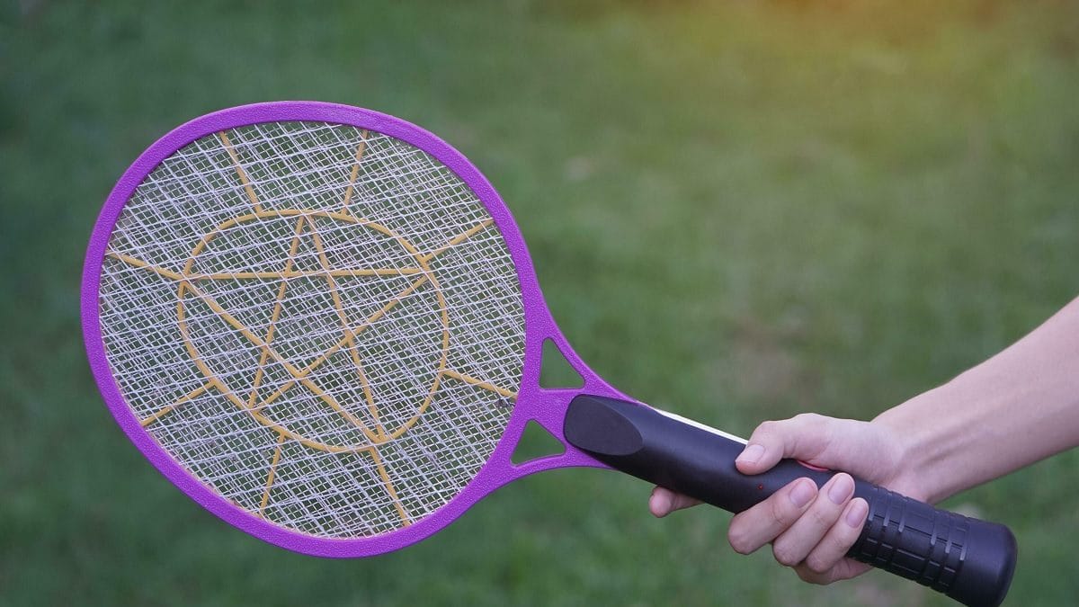 Mosquito Electric Racket মশা মারতে ইলেকট্রিক র‍্যাকেট জনপ্রিয়, জানেন ...