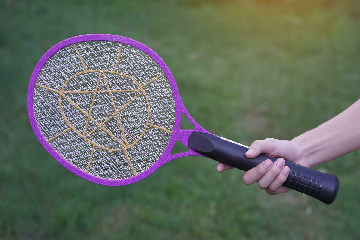 Mosquito Electric Racket মশা মারতে ইলেকট্রিক র্যাকেট জনপ্রিয়, জানেন ...
