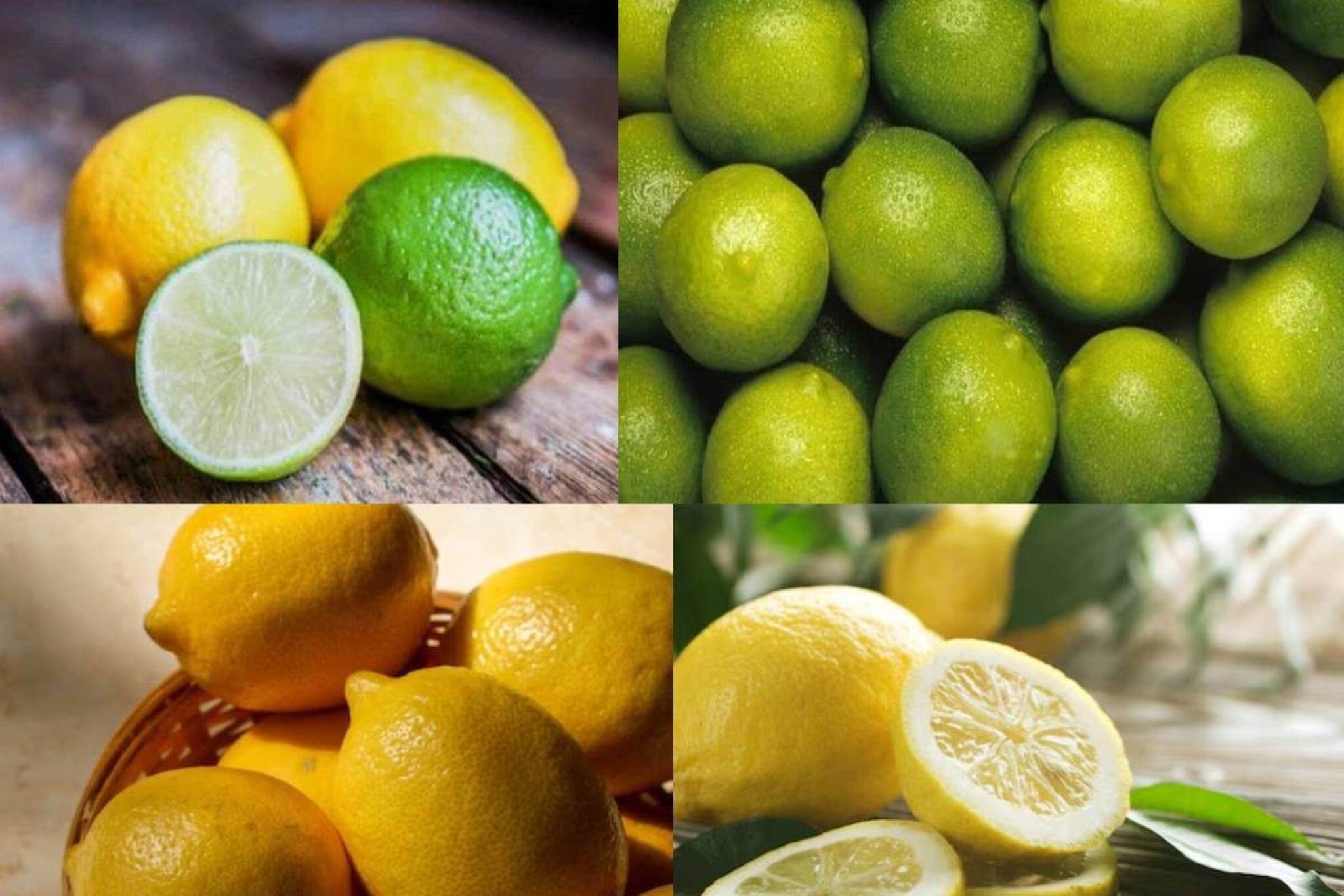 বারবার পাতিলেবু কিনে ঠকছেন? দোকানির ঝুড়িতে রসে টইটম্বুর পাতিলেবু চেনার সহজ উপায়