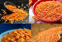 মুসুর ডাল কি আমিষ? কেন একে আমিষ খাবারের তালিকায় ফেলা হয়? জানুন আসল কারণ