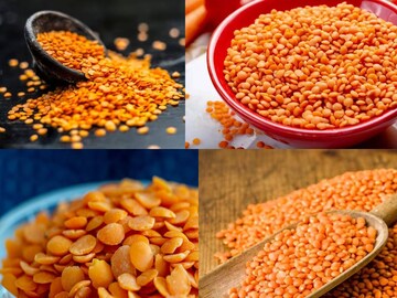 মুসুর ডাল কি আমিষ? কেন একে আমিষ খাবারের তালিকায় ফেলা হয়? জানুন আসল কারণ