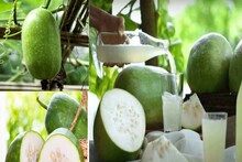 উপকারী হলেও ভুলেও চালকুমড়ো খাবেন না এঁরা! জানুন কোন রোগে এই সবজি খেলে চরম বিপদ