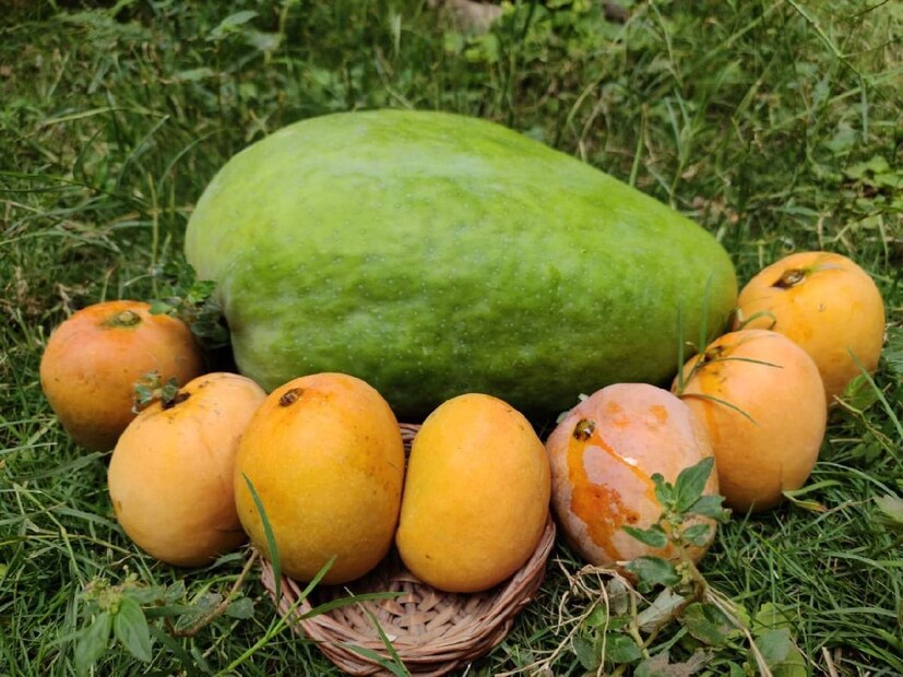ভারতের সবচেয়ে দামি এই আমটি দেশের কেন্দ্রস্থলে অর্থাৎ মধ্যপ্রদেশে চাষ করা হয়। এই আম এক কেজি দামেও বিক্রি হয় না। এই জাতের একটি আমের দাম ১২০০ টাকা। মধ্যপ্রদেশের আলিরাজপুরে এই বিশেষ প্রজাতির আমের চাষ হয়। আশ্চর্যের বিষয় হল, এখানে এই আমের গাছ আছে মাত্র ৩টি।