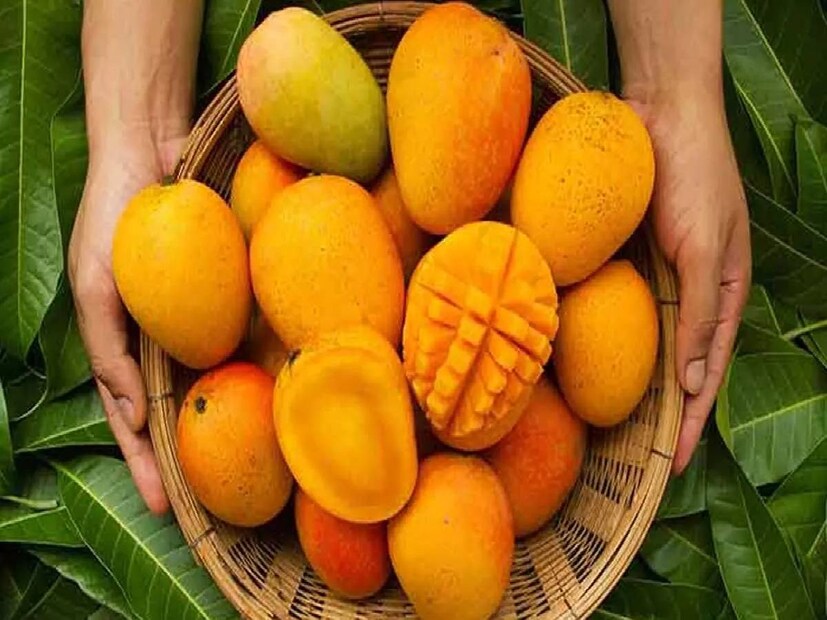 এছাড়া জলাবা, বাদাম, দশেরী, তোতাপরী, হিমসাগর, ল্যাংড়া-সহ নানা জাতের আম রয়েছে। কিন্তু, এর কোনওটাই ভারতের সবচেয়ে দামি আমের তালিকায় পড়ে না৷ 