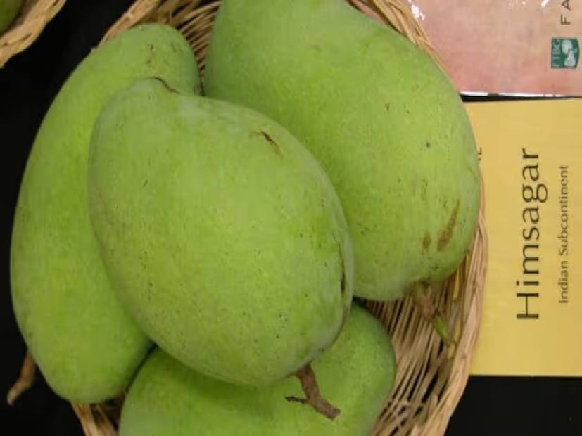  হিমসাগর: মে মাসের প্রথমেই বাজারে যে আম ওঠে, তা হল হিমসাগর। তবে এই আম বেশিদিন বাজারে পাওয়া যায় না। মিষ্টত্ব এবং গন্ধের জন্য এই আম বিখ্যাত। এগুলি সাধারণত মাঝারি আকারের হয়। ভিতরে শাস হলুদ থাকলেও বাইরের খোসা সবুজ। 