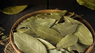 তেজপাতার গুণ। তেজপাতার গুণ।