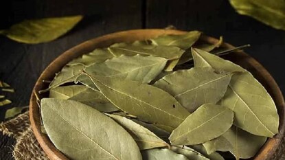 তেজপাতার গুণ। তেজপাতার গুণ।