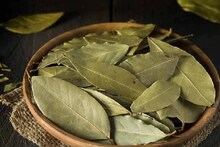 রান্নায় তেজপাতা খান? কমবে ডায়াবিটিস, ভাল থাকবে হার্ট, জেনে নিন গুণাগুণ