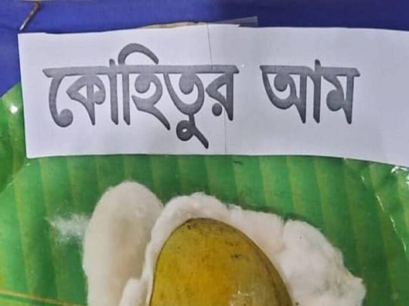 লালবাগের জাফরাগঞ্জে অবস্থিত নিমোক হারাম দেউড়ির সামনেই অবস্থিত এই নবাবের বাগান। আর এই বাগানে দশটি গাছ কোহিতুর আমের। কিন্তু এবছর মাত্র তিনটি গাছে ফলন হয়েছে। তিনটে গাছে সব মিলিয়ে মাত্র ১৫০ পিস মতো এই কোহিতুর আমের ফলন হয়েছে। ফলন কম হওয়ার কারণেই অতিরিক্ত দামে বিক্রি হয়। আর কোহিতুর আম গাছে এখনও আছে। তবে গাছে পেকে গেলেই সেই আম নামিয়ে নেওয়া হয়। তবে নবাব না থাকলে নবাবের আমলের সেই গাছ যেমন আছে ঠিক তেমনই আছে আমের স্বাদ।