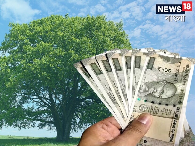 গ্রাম বাংলায় বেশ জনপ্রিয় একটি সবজি মিস্টি কুমড়ো । কম সময়ে এই সবজি চাষ করে ভালফলন পাওয়া যায়। মাত্র তিন মাসের পরিচর্যাতেই মিষ্টি কুমড়োর দ্রুত ফল পাওয়া যায়। মিষ্টি কুমড়োর সবজি ও শাক দুটোই খাওয়া যায়।কুমড়ো শরীরের রোগ প্রতিরোধ ক্ষমতা বৃদ্ধি করতে সাহায্য করে।