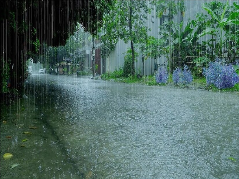 এর পাশাপাশি উত্তর ২৪ পরগণা, দক্ষিণ ২৪ পরগণা, পূর্ব মেদিনীপুর, হাওড়া, হুগলি, কলকাতা, হুগলি, পুরুলিয়া, ঝাড়গ্রাম, পশ্চিম মেদিনীপুর, বাঁকুড়াতে বজ্র-বিদ্যুৎ সহ বৃষ্টি শুরু হবে সোমবার থেকে৷ এই জেলাগুলিতে ইয়েলো অ্যালার্ট জারি রয়েছে৷ Photo- Representative