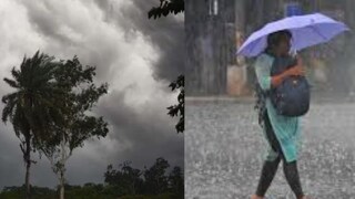 রাজ্যে ঢুকল বর্ষা।