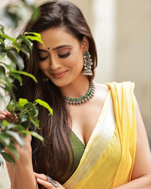 দু’বারই গার্হস্থ্য হিংসা, এবং তাঁর উপর মানসিক নির্যাতনের অভিযোগ তোলেন শ্বেতা৷ 