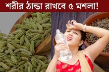 রান্নাঘরের ৫ সাধারণ মশলাতেই শরীর থাকবে হিমশীতল, দেহের ময়লাও টেনে বের করবে
