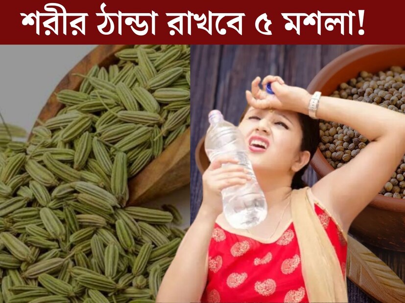 গ্রীষ্মের সময় খাবারে তেল মশলা এড়িয়ে চলা উচিত। বেশিরভাগ সকলের তেমনটাই বিশ্বাস। তবে জানেন কী, রান্নাঘরের বেশ কয়েকটি মশলাই হয়ে উঠতে পারে গরমের বিরুদ্ধে অস্ত্র। প্রতিটি রান্নাঘরে পাওয়া এই সাধারণ মশলাগুলি শরীরের একাধিক উপকারের পাশপাশি শরীরে ঠান্ডা রাখে। 