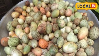 শরীরের জন্য অমৃত, সুগার, বিপি, হজমের অব্যর্থ ওষুধ