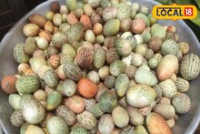 গরমে পাতে রাখুন এই ৩ সবজি; শরীরের জন্য অমৃত, সুগার, বিপি, হজমের অব্যর্থ ওষুধ