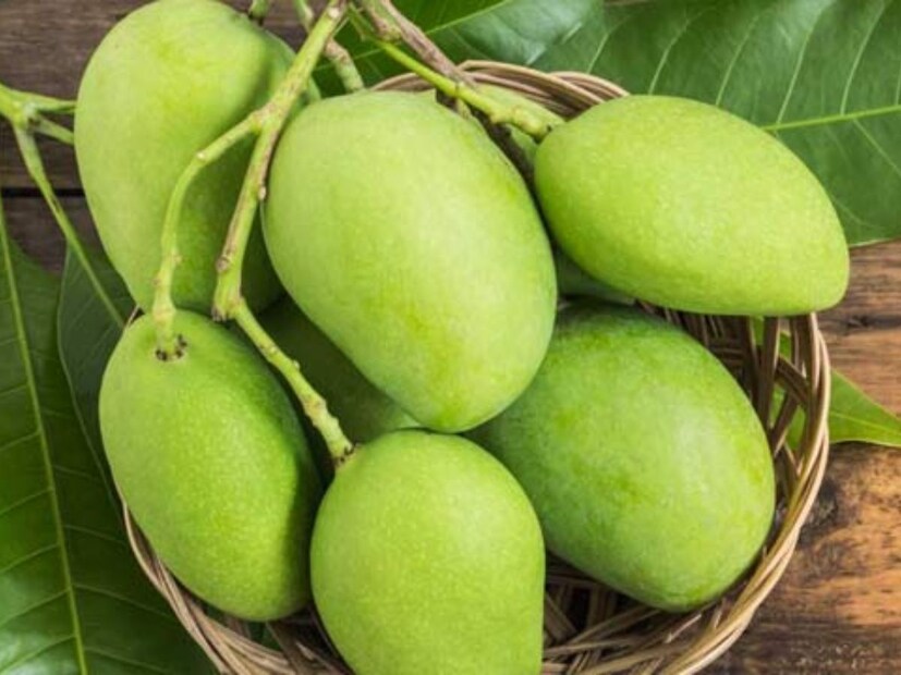 কাঁচা আম: কাঁচা আমে পর্যাপ্ত পরিমাণে ভিটামিন সি, পটাশিয়াম, ম্যাগনেসিয়াম, অ্যান্টিঅক্সিডেন্ট রয়েছে। কাঁচা আম যেভাবেই খাওয়া হোক, তা শরীর ঠান্ডা রাখতে সাহায্য করে। এর মধ্যে গ্যালিক অ্যাসিড থাকে। যা গরমকালে হজমশক্তি বাড়াতে সাহায্য করে। ফলে কাঁচা আম খেলে গ্যাস, অম্বলের সমস্যা দূর হয়। 