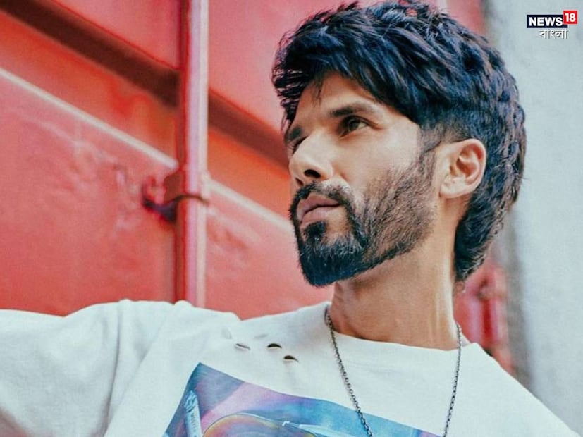 এর পর শাহিদ 'জাব উই মেট', 'হায়দার', 'উড়তা পাঞ্জাব' এবং 'কবীর সিং'-এর মতো ছবিতে প্রশংসা অর্জন করেন। শাহিদ কাপুর ‘ফারজি’ দিয়ে তাঁর ওটিটি ডেবিউ করেন। 'ফরজি' ছবির জন্য অনেক প্রশংসা পেয়েছেন শাহিদ। 