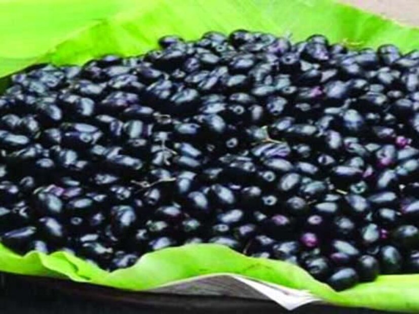 কালো জাম হাড়কে শক্তিশালী করে, আয়রন, ক্যালসিয়াম, ম্যাগনেসিয়াম এবং পটাসিয়ামের মতো প্রয়োজনীয় খনিজগুলির উপস্থিতি হাড় এবং দাঁতগুলিকে মজবুত করে।