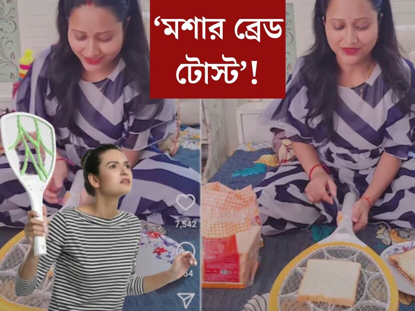 সকালের ব্রেকফাস্টে পাউরুটি খাওয়ার চল বর্তমানে বেশিরভাগ বাড়িতেই। টোস্ট বানাবার জন‍্য বিভিন্ন উপায় রয়েছে। কিন্তু মশা মারার র‍্যাকেটে টোস্ট? এমন উপায়ের কথা আগে শুনেছেন কী? 