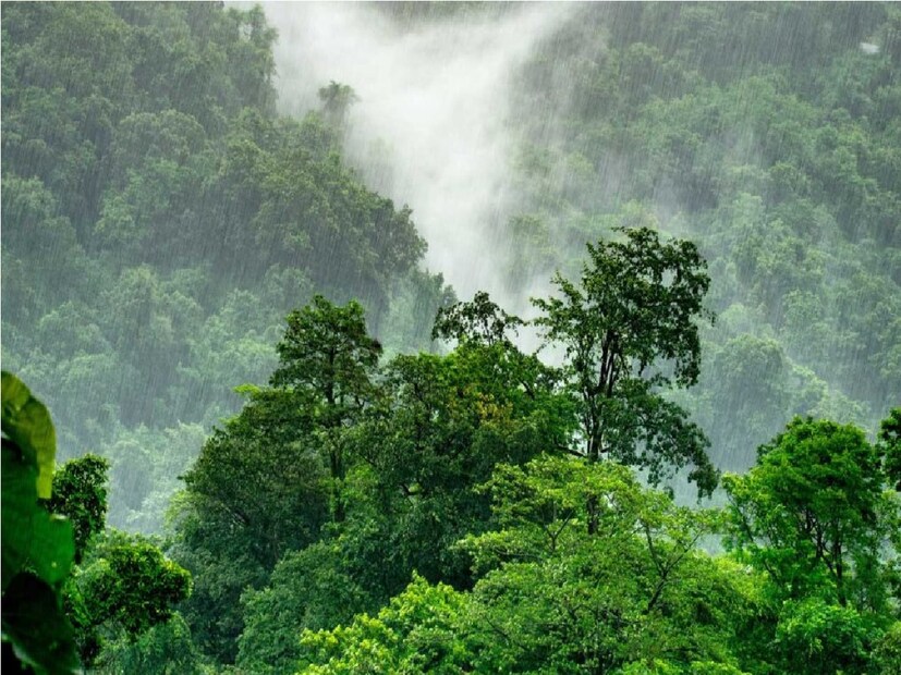 *কালিম্পং: মেঘ আর কুয়াশায় মোড়া কালিম্পং। আজও বৃষ্টির পূর্বাভাস। তাপমাত্রা ২১-২২ ডিগ্রি সেলসিয়াস।