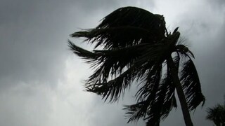 কবে আসছে বর্ষা? কবে আসছে বর্ষা?