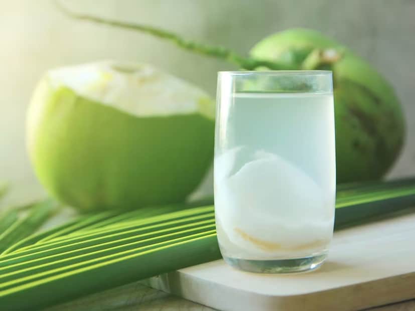 শিল্পার মতে, ‘‘ডাবের জল প্রাকৃতিকভাবে মিষ্টি। ইলেক্ট্রোলাইটস আছে প্রচুর পরিমাণে। প্রাকৃতিকভাবে বেশি পটাশিয়াম আছে। ফলের রস বা কৃত্রিম রসের তুলনায় ডাবের জল বেশি প্রয়োজনীয়। কারণ এই পানীয়গুলিতে টক্সিক চিনি বেশি।’’