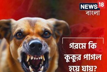 গরমে কি কুকুর পাগল হয়ে যায়...? বিশেষজ্ঞেরা জানালেন 'সঠিক' উত্তর, সতর্ক হন!