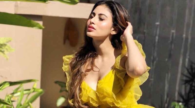 মৌনি রায় বলেন, 'আমার মেরুদণ্ডে এপিডুরাল ছিল। এটা খুব খারাপ সময় ছিল, যখন আমি প্রায় ৩ মাস শয্যাশায়ী ছিলাম এবং তারপর আমি নাগিন-এর জন্য ডাক পেলাম।' 