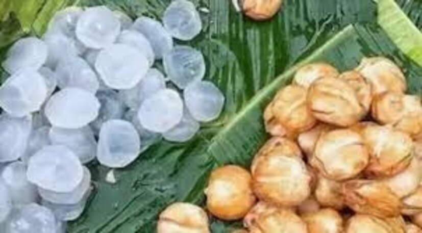 গরমে গা বমি বমি করার উপসর্গ দূর করে তালশাঁস। ত্বকে অকালবার্ধক্যের ছাপ বা জরার ছাপ পড়তে দেয় না এই ফল। অন্তঃসত্ত্বা অবস্থায় তালশাঁস খাওয়ার আগে ডাক্তারের পরামর্শ নিতে হবে।
