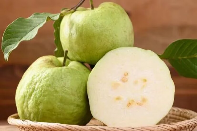 ক্যালরি অত্যন্ত কম বলে পেয়ারাকে বলা হয় নেগেটিভ ক্যালরি খাবার। গ্লাইসেমিক ইনডেক্স কম বলে পেয়ারা ব্লাড সুগারে খুবই উপকারী। ওজন বশে রাখতে হলে পেয়ারা খেতে ভুলবেন না।