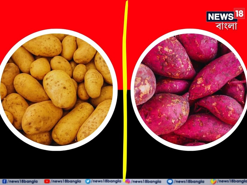 তবে, বর্তমানে অধিকাংশই মনে করেন সাধারণ আলুর তুলনায় বুঝি রাঙা আলু বেশি উপকারী। তবে বিষয়টা একবারেই তেমন নয়। বরং সাধারণ আলুও বেজায় স্বাস্থ্যকর।