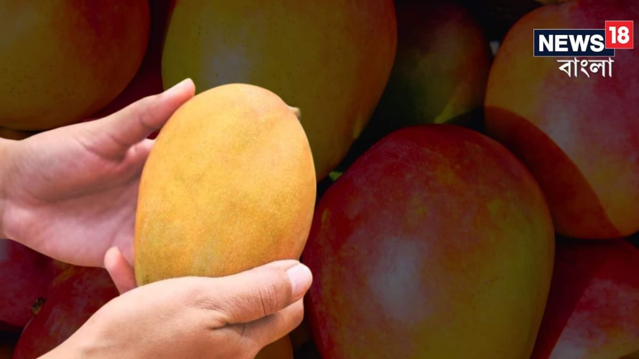 কার্বাইডে পাকা আম খেলেই সর্বনাশ...! চিনবেন কী করে 'আসল' না 'নকল'? গাছ পাকা আম চেনার সহজ নিয়ম জানুন, ঠকতে হবে না আর!